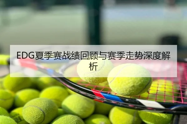 EDG夏季赛战绩回顾与赛季走势深度解析